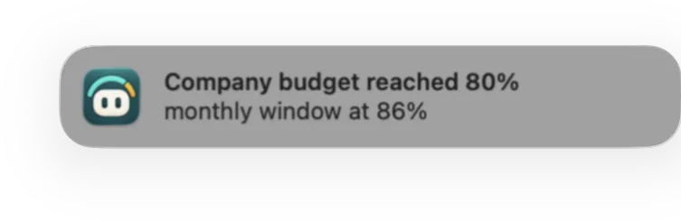 A notification that a budget crossed 80%